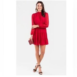 Francesca’s swiss dot long sleeve red dress